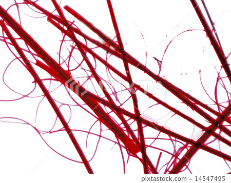 wool under microscope wool under microscope 14547495