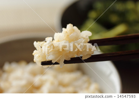 Germinated brown rice 14547593