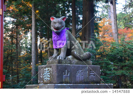 "Stone statue of Yamaite" (Mikumi Shrine / Mitamine, Saitama Prefecture) "Stone statue of Yamaite" (Mikumi Shrine / Mitamine, Saitama Prefecture) 14547888