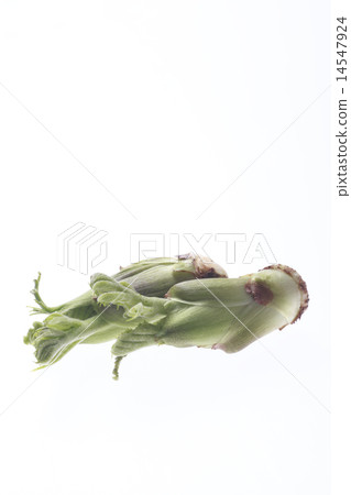 芽，鱈魚芽，成分 14547924