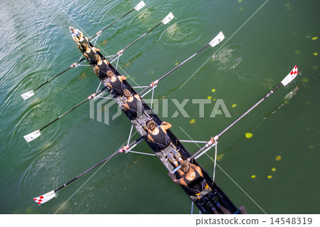 Boat coxed eight 14548319