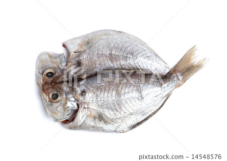 Dried Ebodai 14548576