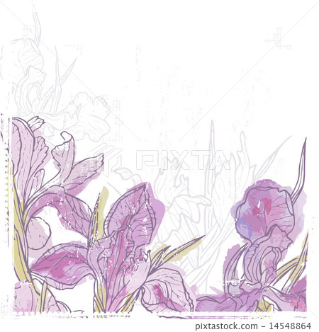 Hand drawn retro card with  iris  flowers 14548864