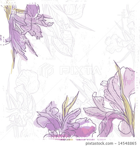 Hand drawn vintage  card with  iris  flowers 14548865