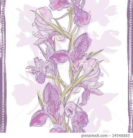 Hand made watercolor iris flowers seamless border 14548883