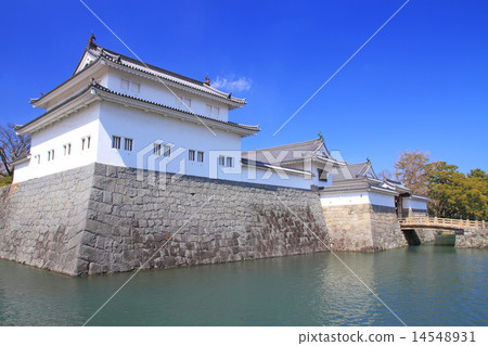 March Shizuoka Sunpu Castle · Takigoro and Higashiomon 14548931