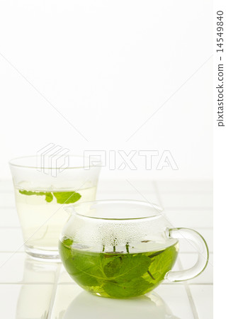 薄荷茶 薄荷茶 14549840