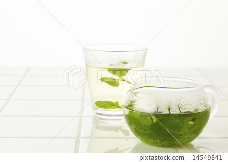 薄荷茶 14549841