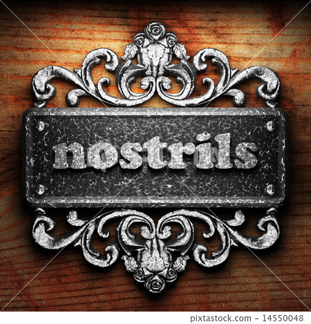 nostrils word of iron on wooden background nostrils word of iron on wooden background 14550048