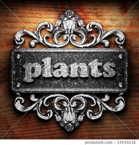 plants word of iron on wooden background plants word of iron on wooden background 14550216