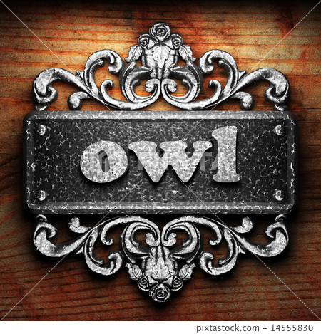 owl word of iron on wooden background owl word of iron on wooden background 14555830