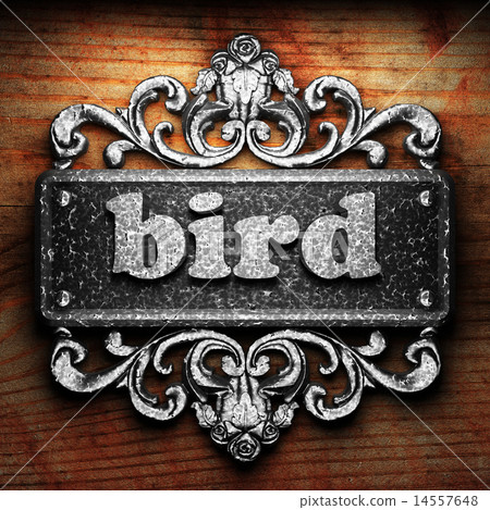 bird word of iron on wooden background 14557648
