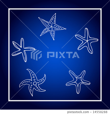Starfishes on dark blue background. Hand drawn. 14558288