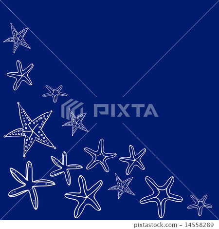 Starfishes on dark blue background. Hand drawn. 14558289
