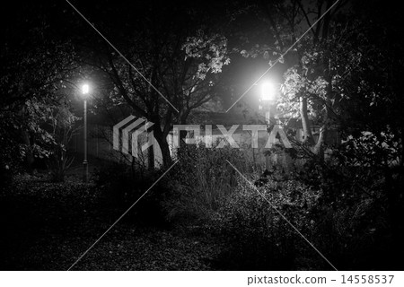Creepy park at night with illumination Creepy park at night with illumination 14558537