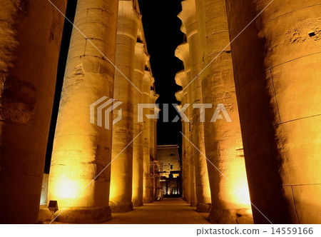 Light up of the Luxor Temple · Column Column 14559166