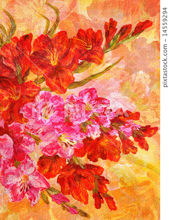 Bouquet Of Gladiolus Flowers 14559294