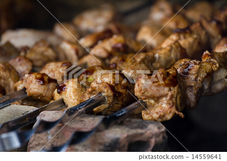 barbecue 14559641