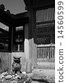 Okinawa's guardian deity 14560599