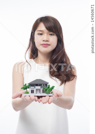 Young Adult,/Property 14560671