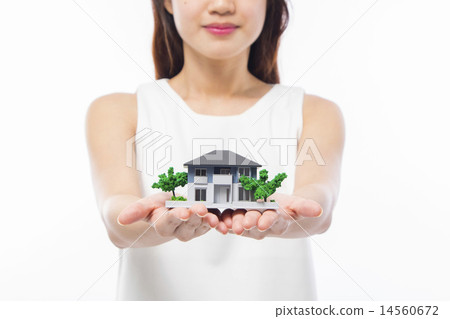 Relationship/ Property 14560672