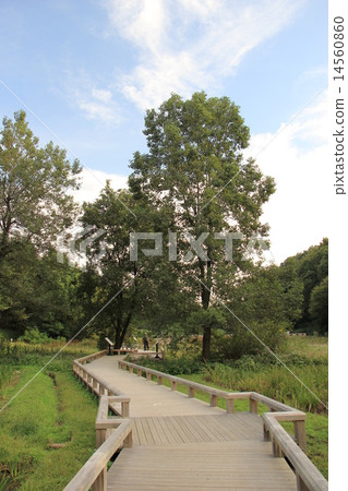 Tokyo Metropolitan Botanical Gardens Park Tokyo Metropolitan Botanical Gardens Park 14560860