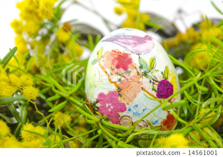 Hand painted Easter egg and mimosa 14561001