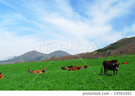 Sayama highland and blue sky Sayama highland and blue sky 14561081