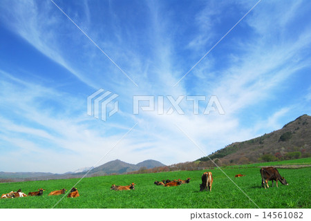 狹山高地和藍天 狹山高地和藍天 14561082