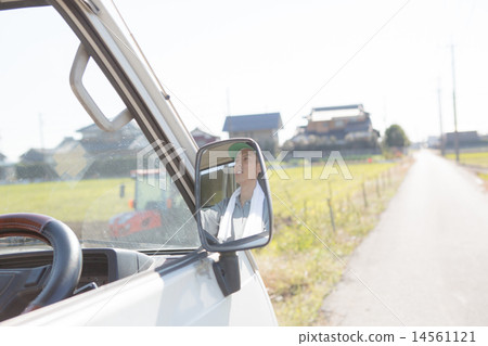 side mirror, wing mirror, lightweight truck 14561121