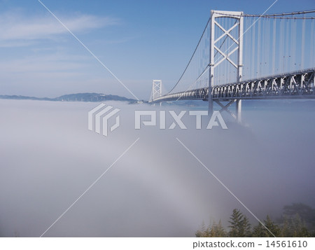 火影忍者海峽08 14561610