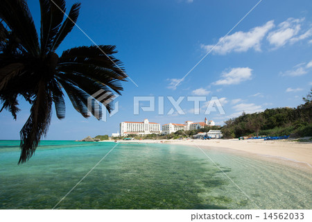 Beach and Nirai Beach in Okinawa 14562033
