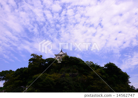 Kitsuki castle Kitsuki castle 14562747
