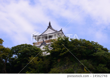 Kitsuki castle 14562748