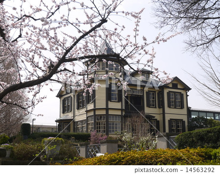 櫻花季節外交官的房子橫濱 14563292