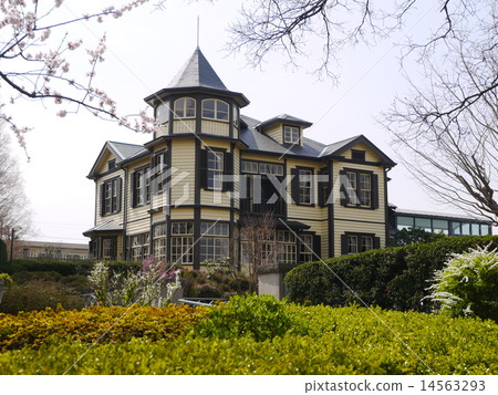 櫻花季節外交官的房子橫濱 14563293