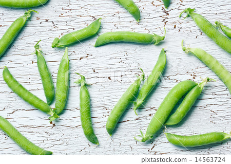 top view of green pea pods top view of green pea pods 14563724