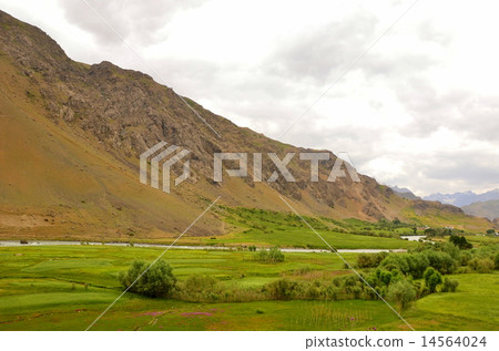 himalaya, the himalayas, grass field 14564024