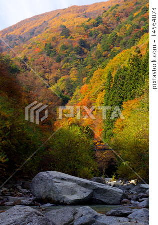 小次良川谷〉 14564073