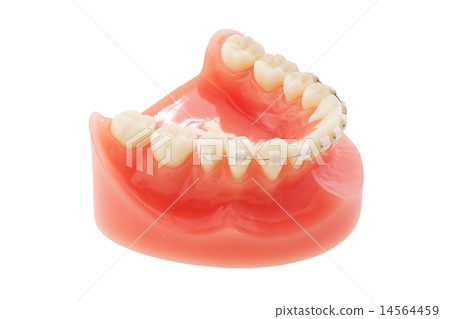 Dentures Dentures Dentures Dentures 14564459