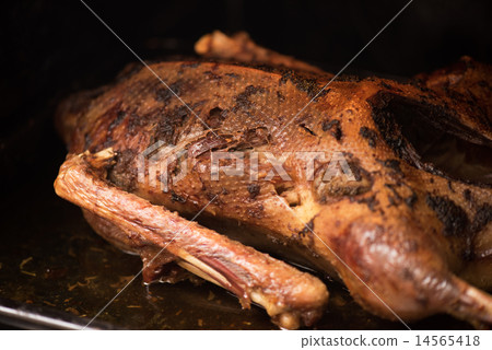 roasted goose roasted goose 14565418