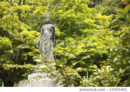 Wakamatsu Kannon以綠色 14565463