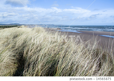 East Coast Scotland, UK 14565875