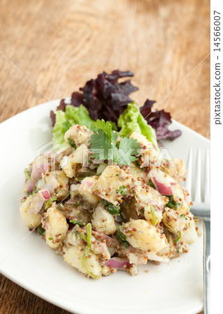 Homemade Potato Salad 14566007