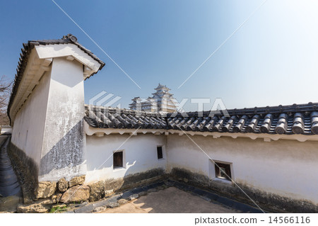 從Nishinomaru看到的姬路城堡本丸 14566116