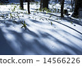 Okuhiko in winter 14566226