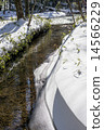 Okuhiko in winter (tributary of Yukawa) 14566229