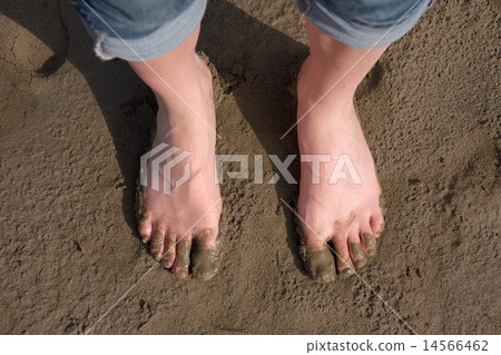 Bare feet Bare feet 14566462