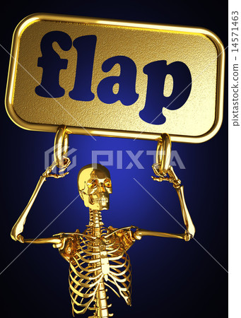 flap word and golden skeleton flap word and golden skeleton 14571463