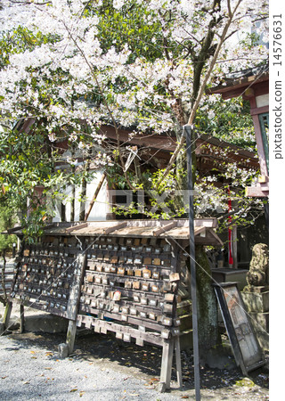 Yasujinjin Yasujinjin 14576631